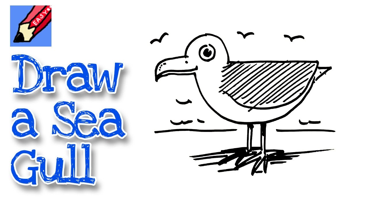 pix How To Draw A Seagull Step By Step how to draw seagulls step by step