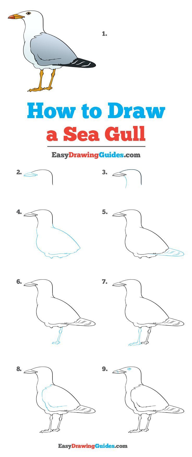 pics How To Draw A Seagull Step By Step how to draw a seagull bird drawings