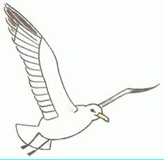 pic How To Draw A Seagull Step By Step how to draw a seagull