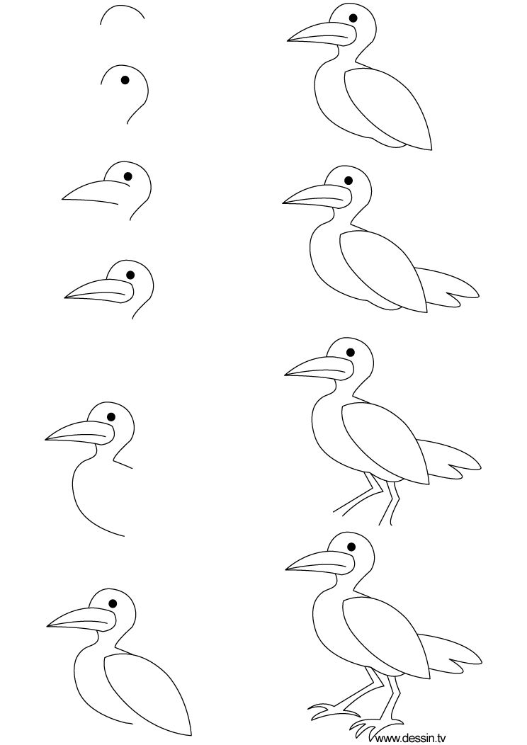 pic How To Draw A Seagull Step By Step draw a seagull art projects for kids