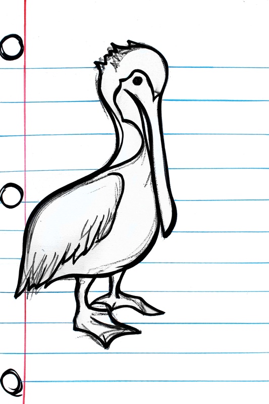 photo How To Draw Louisiana State Bird get coloring pages