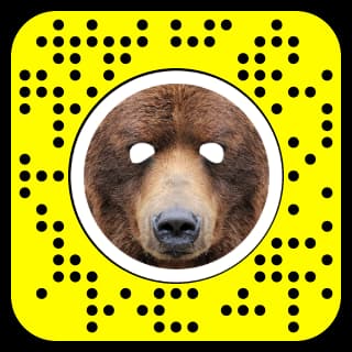 pix How To Get The Bear Filter On Snapchat how to add a voice filter to your video