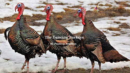 photo Images Of Dancing Turkeys the dancing turkeys chad thad brad