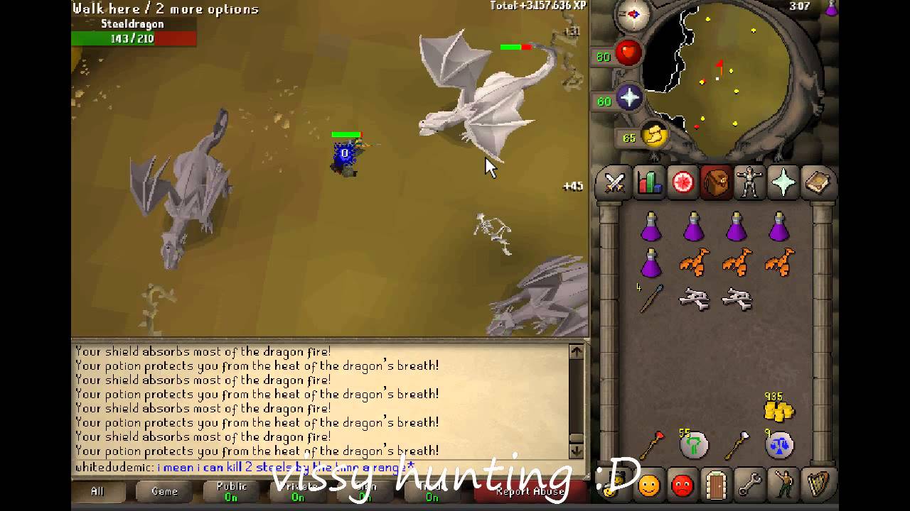 pix Metal Dragons Osrs reddit