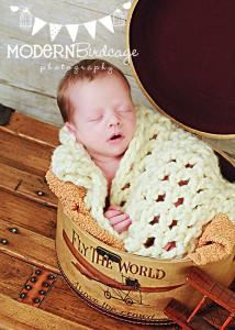 pics Modern Birdcage Photography modern birdcage photography home