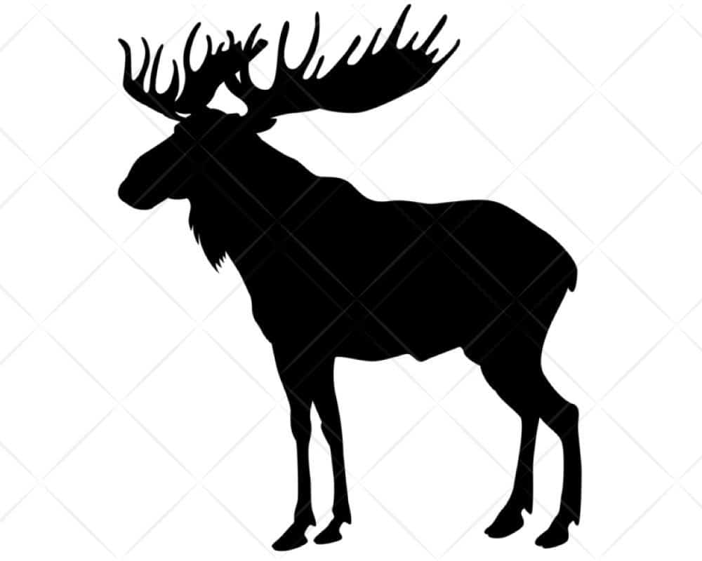 wallpapers Moose Silhouette Svg moose silhouette svg dxf
