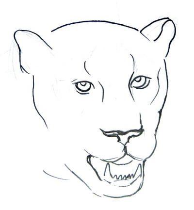 images Panther Head Drawing https www shutterstock com image vector black panther on white background 524252719