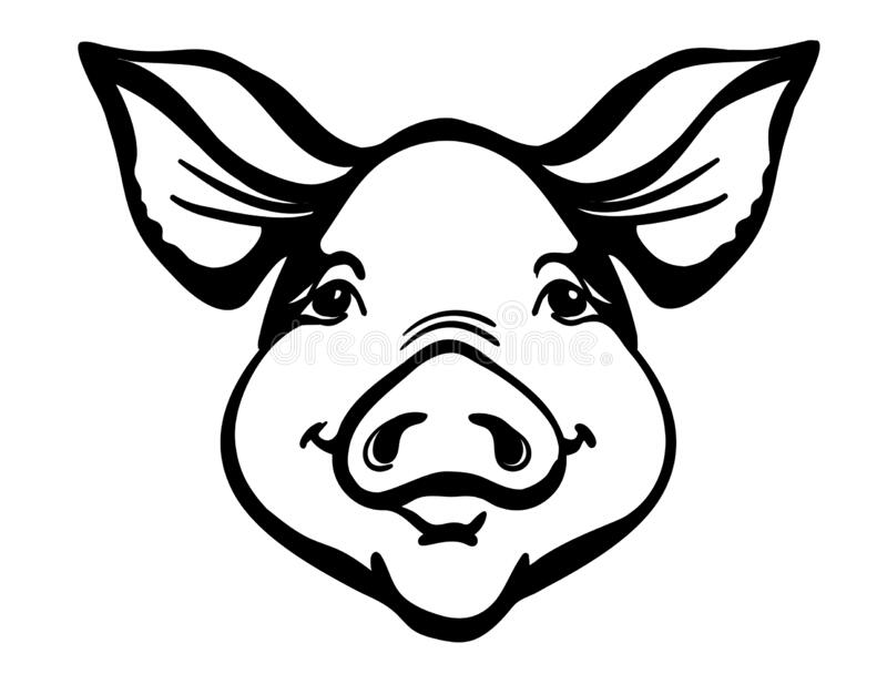 photo Pig Head Clipart Black And White vectorstock