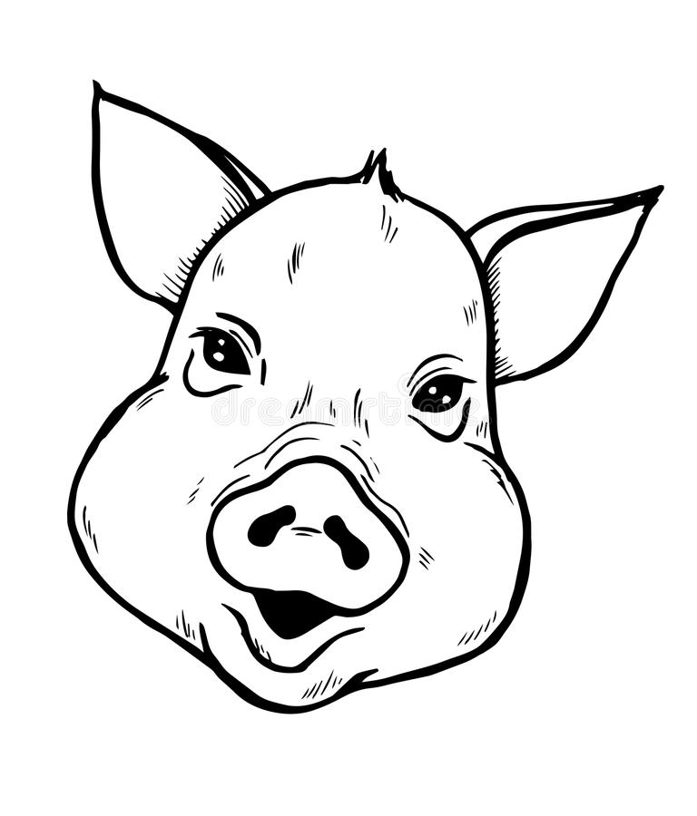 images Pig Head Clipart Black And White clipart library