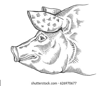 wallpapers Pig Head Clipart Black And White pig head clip art royalty free gograph