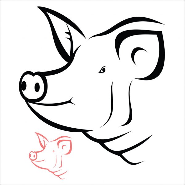 picture Pig Head Clipart Black And White dreamstime com