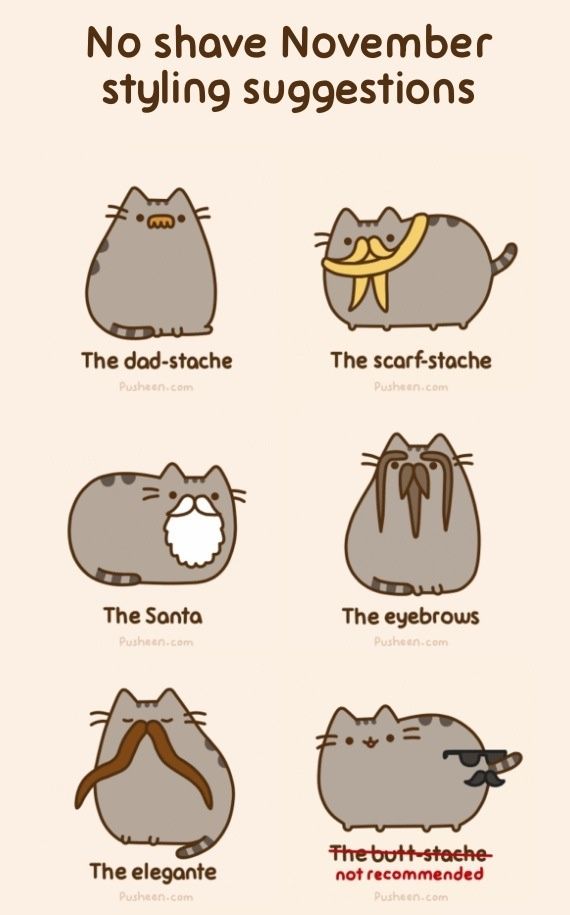 photo Pusheen Cat With Mustache mexican pusheen blankmoustache photo
