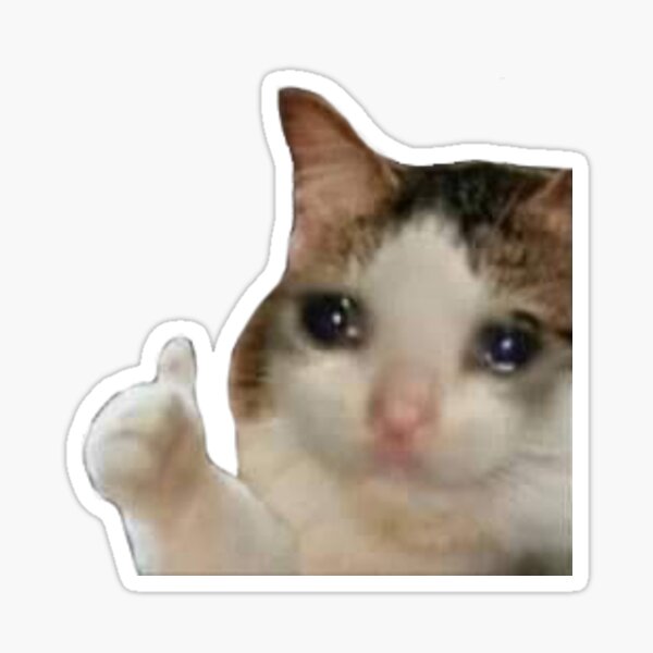 images Sad Cat Emoji emoji mashup bot on twitter