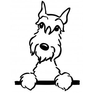 pics Schnauzer Line Drawing line art single line drawing