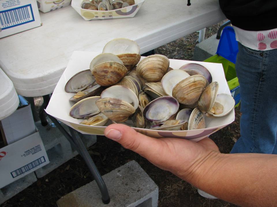 pix Sebastian Clam Festival annual festivals events sebastian