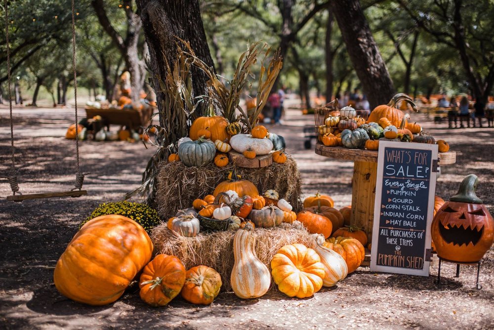 pics Shadow Creek Pumpkin Patch fall fun at shadow creek pumpkin farm