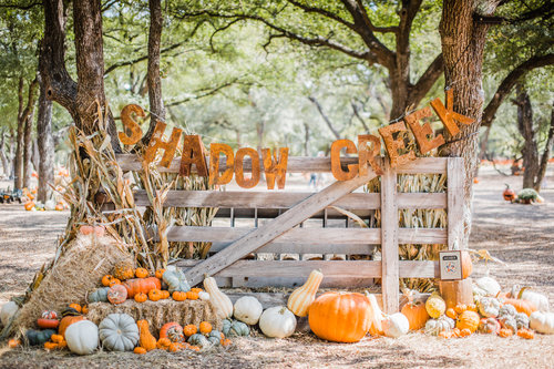 pix Shadow Creek Pumpkin Patch shadow creek pumpkin farm home facebook