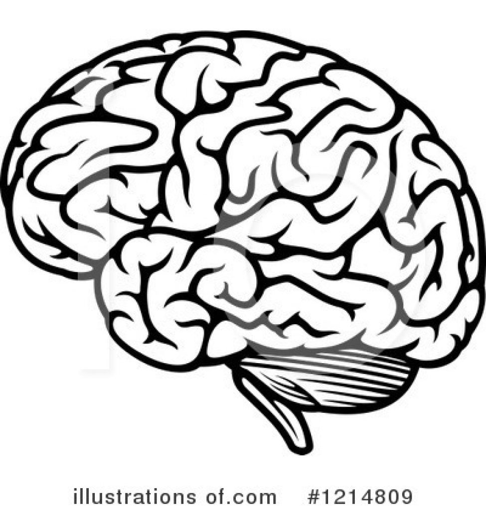 pix Simple Minimalist Brain Clipart vectorstock