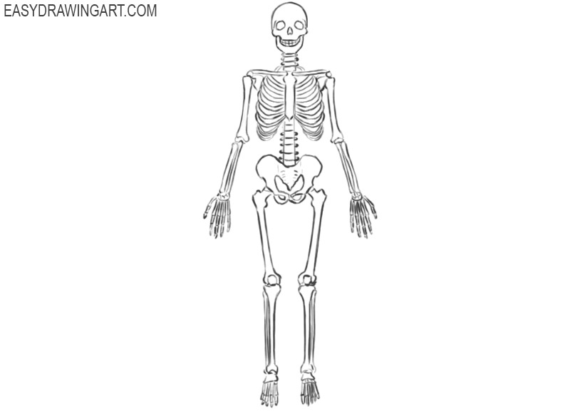 pic Skeleton Legs Drawing how to draw legs the easy step by step