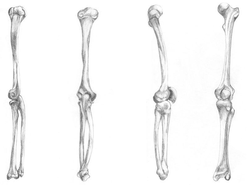 pix Skeleton Legs Drawing how to draw a skeleton easy drawing art