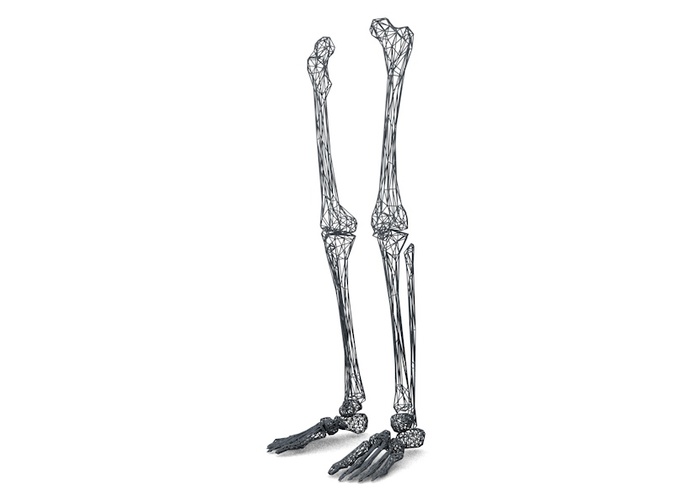 pix Skeleton Legs Drawing human anatomy art human figure drawing