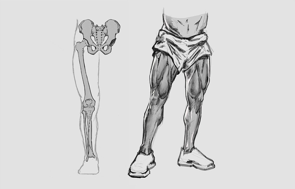 photo Skeleton Legs Drawing bones for the arm leg bones arm
