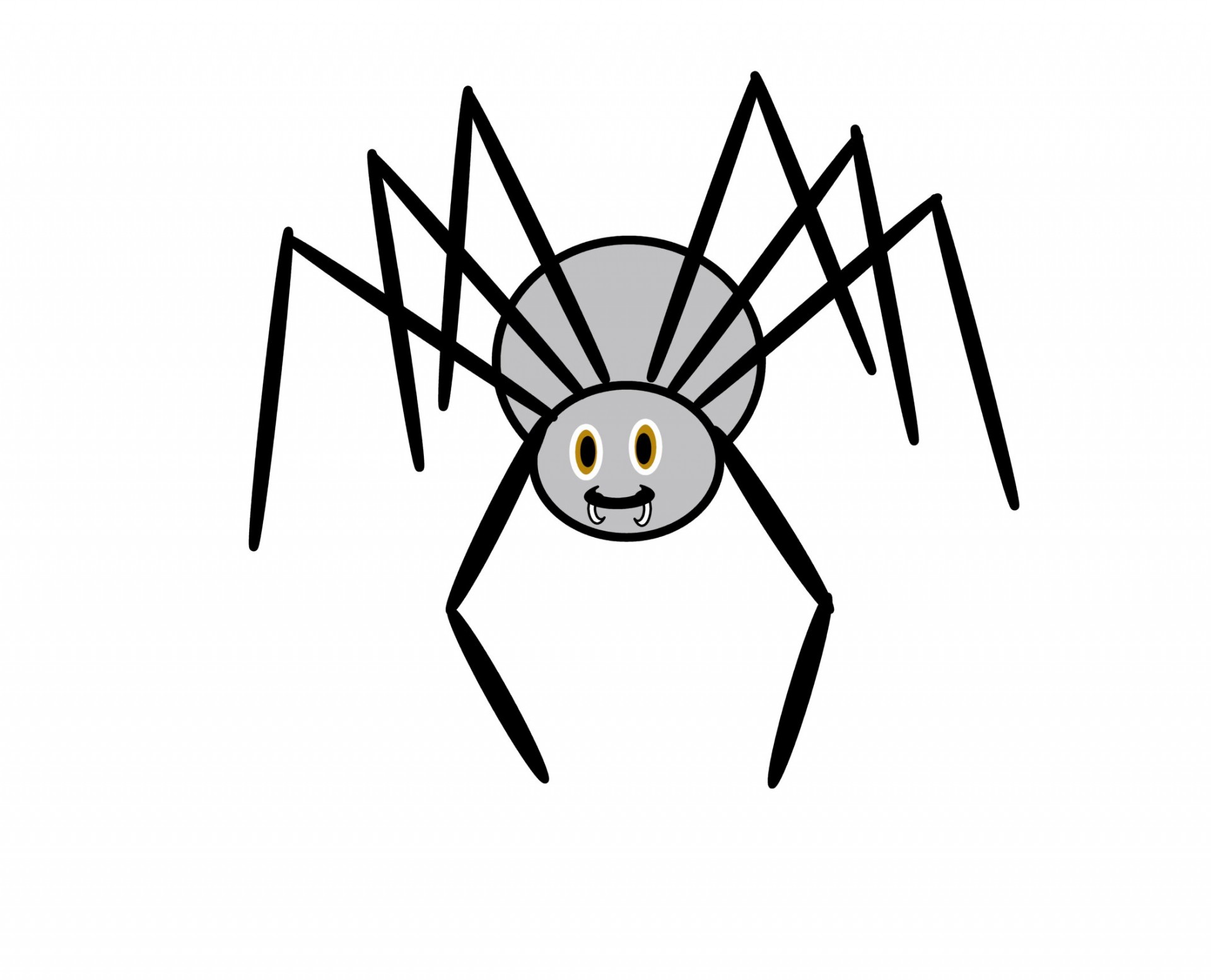 photo Spider Images Clip Art clipart library