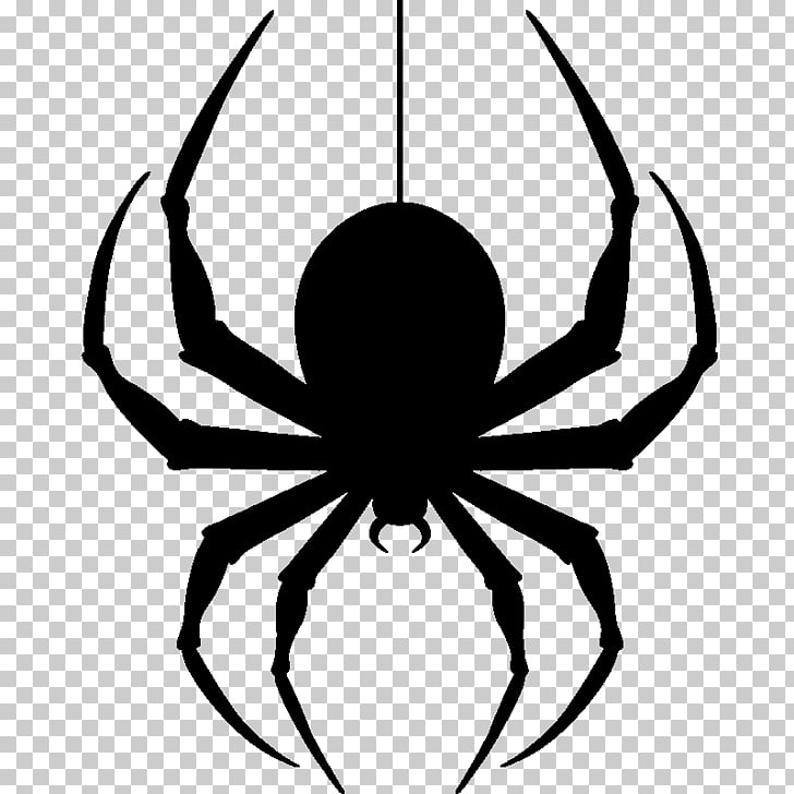 pic Spider Images Clip Art spider halloween clip art