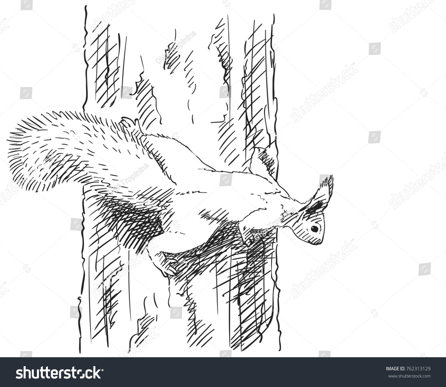 pic Squirrel Climbing Tree Drawing red squirrel in tree by michelle wang