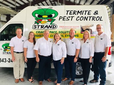 pics Strand Termite And Pest Control strand termite pest control