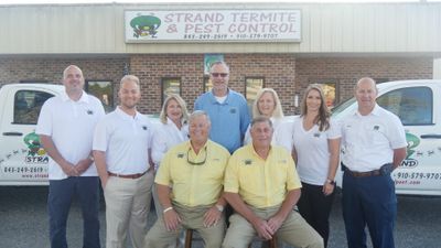 images Strand Termite And Pest Control strand termite pest control home