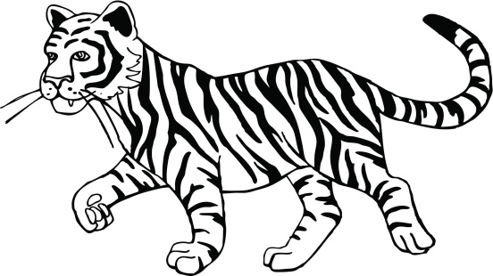 wallpapers Tiger Clipart Black And White bengal tiger black white outline