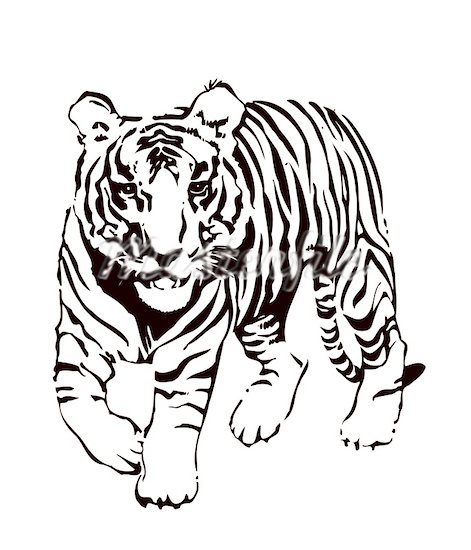 pix Tiger Clipart Black And White image result for tiger clipart black