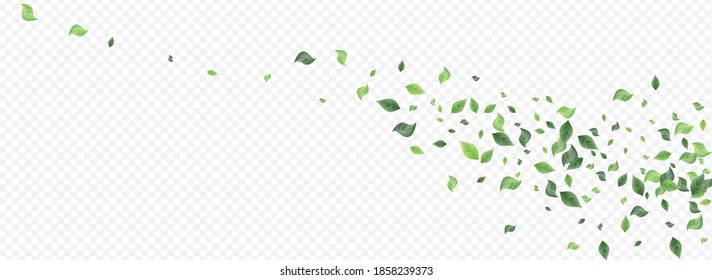 wallpapers Transparent Greenery Clipart greenery clipart leafy wreath laurel