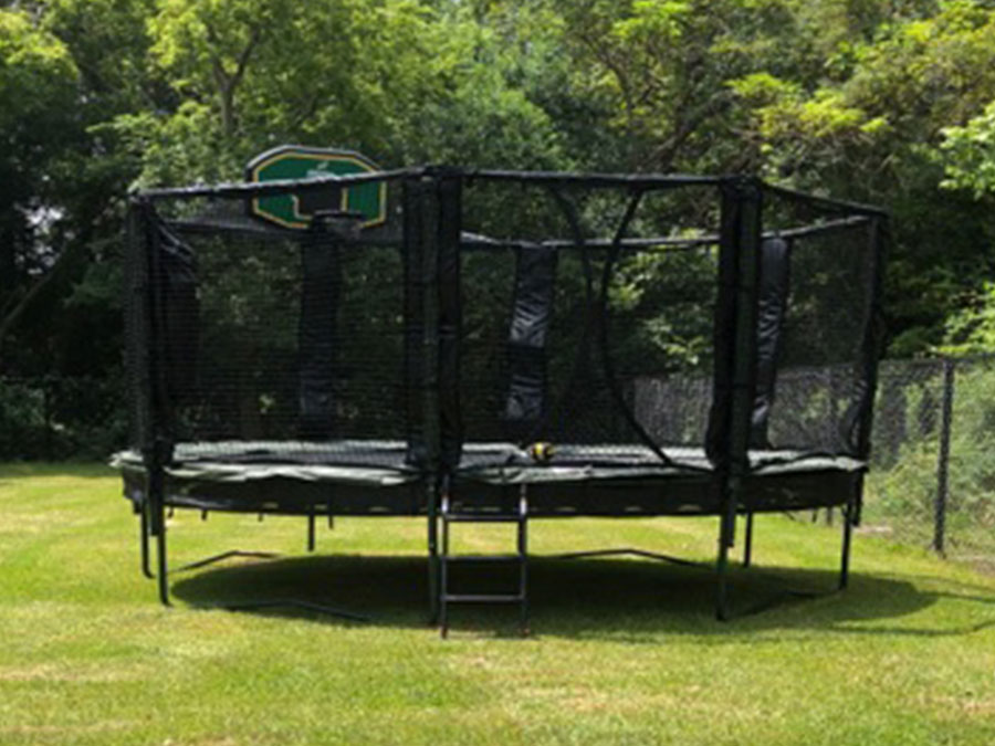 pics Tree Frog Trampoline trampolines springfree trampolines