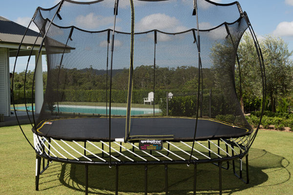 picture Tree Frog Trampoline trampolines springfree trampolines