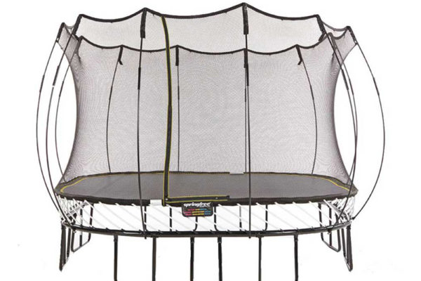 wallpapers Tree Frog Trampoline s155 jumbo square