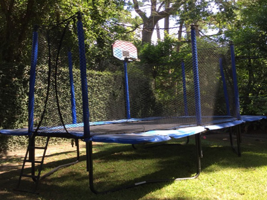 images Tree Frog Trampoline trampolines springfree trampolines