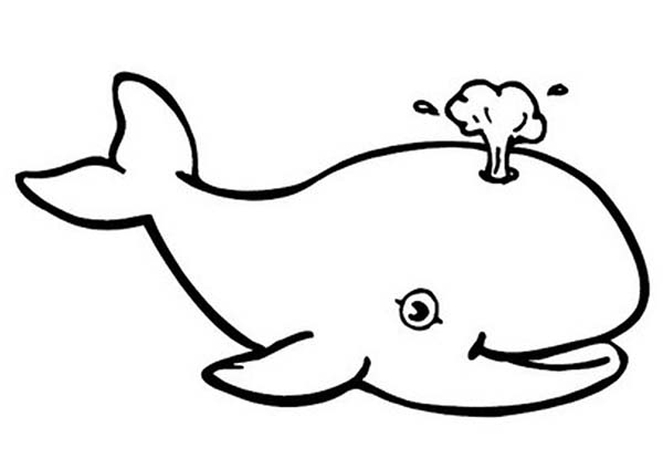 picture Whale Clipart Black And White clipart library