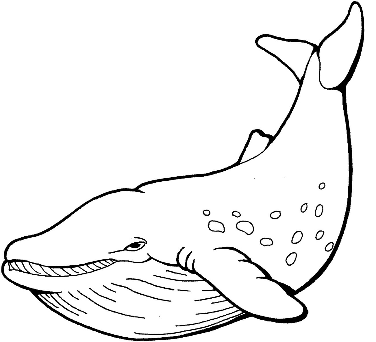 pics Whale Clipart Black And White https classroomclipart com clipart clipart animals whale clipart htm