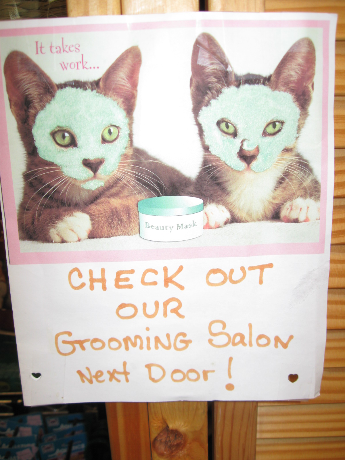 pics Whiskers Astoria whiskers holistic petcare blog best