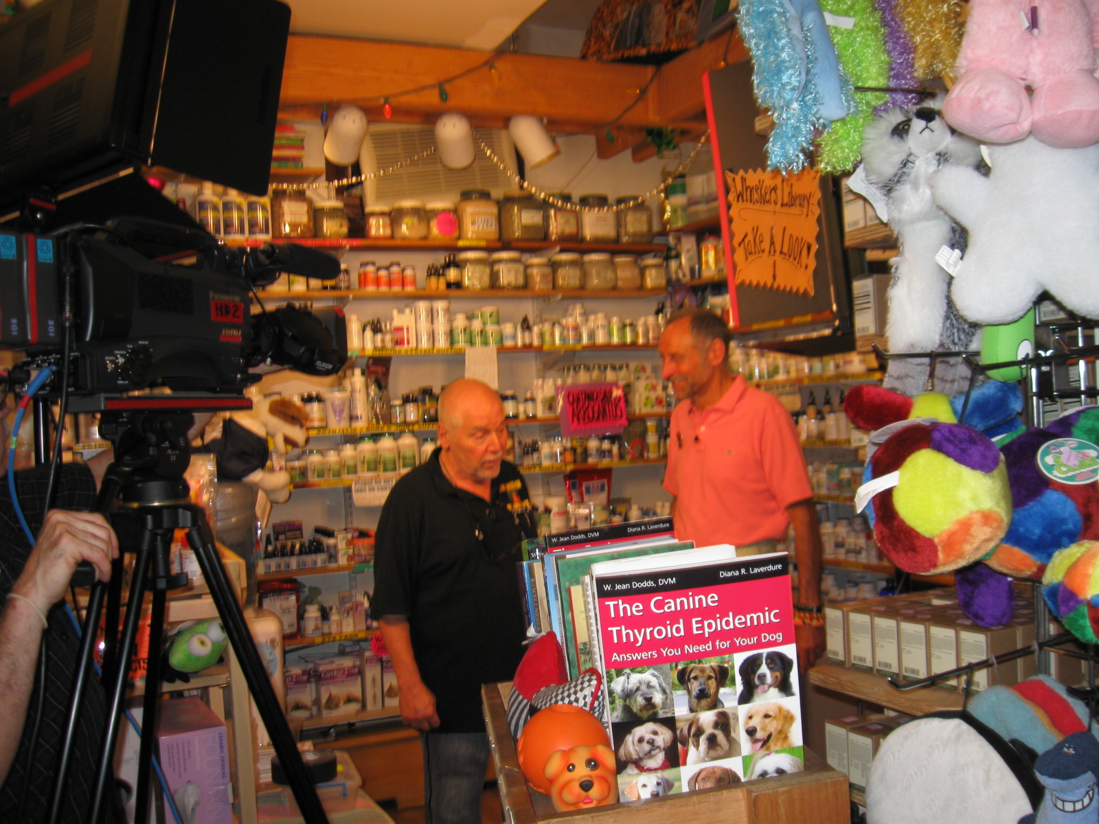 pix Whiskers Astoria whiskers holistic petcare blog best