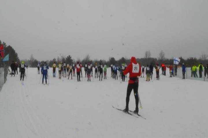 pic White Pine Stampede white pine stampede going virtual in