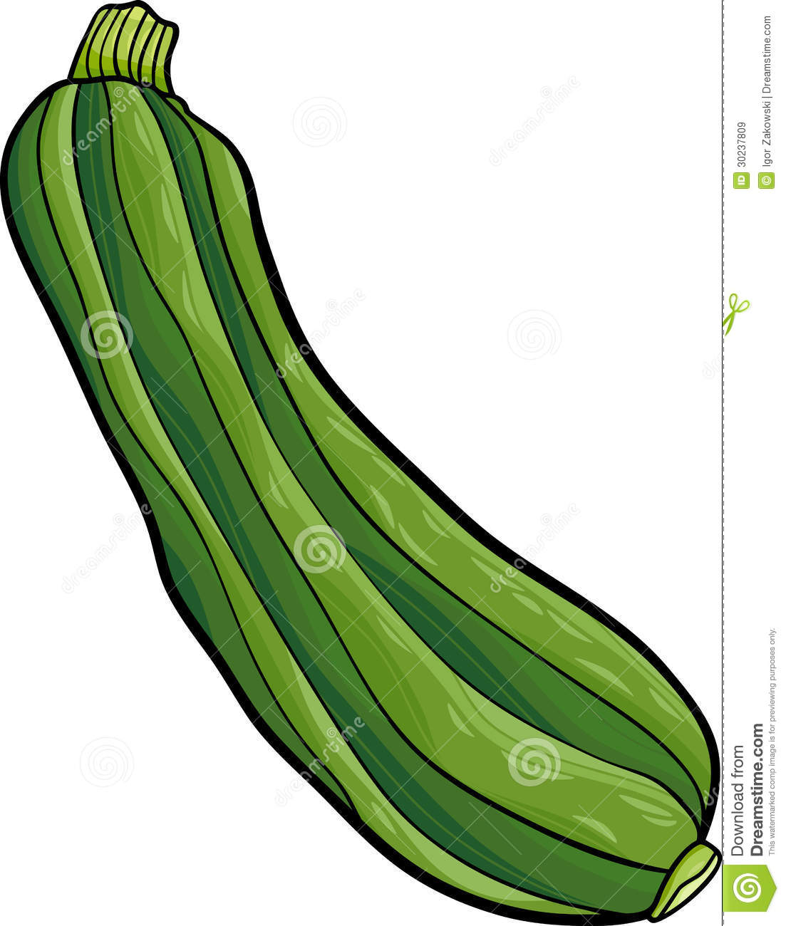 pic Zucchini Clipart Free clip art zucchini zucchini clipart